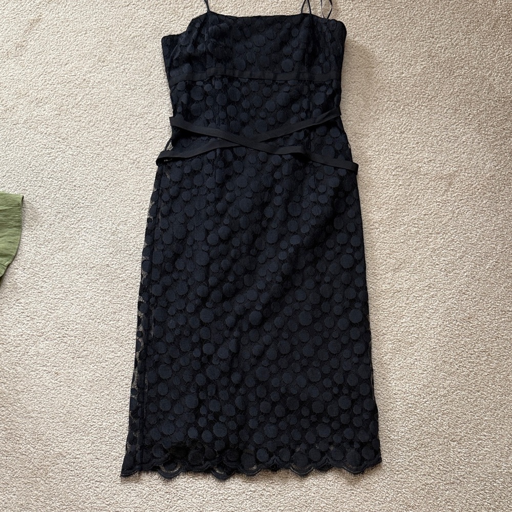 Elegant Black Italian Lace dot Dress